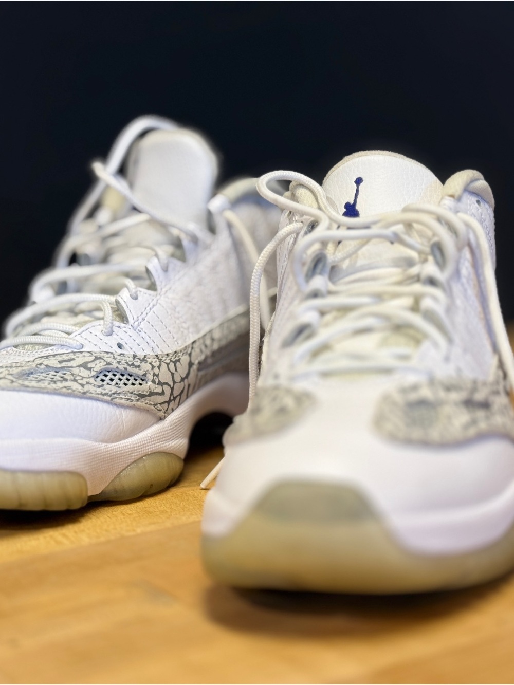 Nike Air Jordan 11 Retro Low IE.